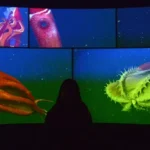 monterey bay aquarium photos